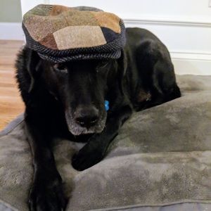 Meet your Posher, Kristen